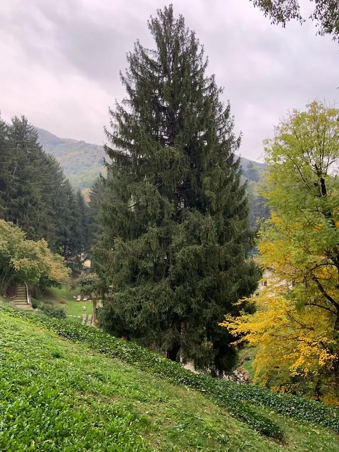 Il Mulino Di Valeria Hotel Canzo Itália